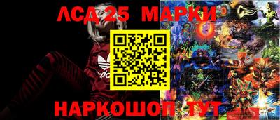 винт Бердск
