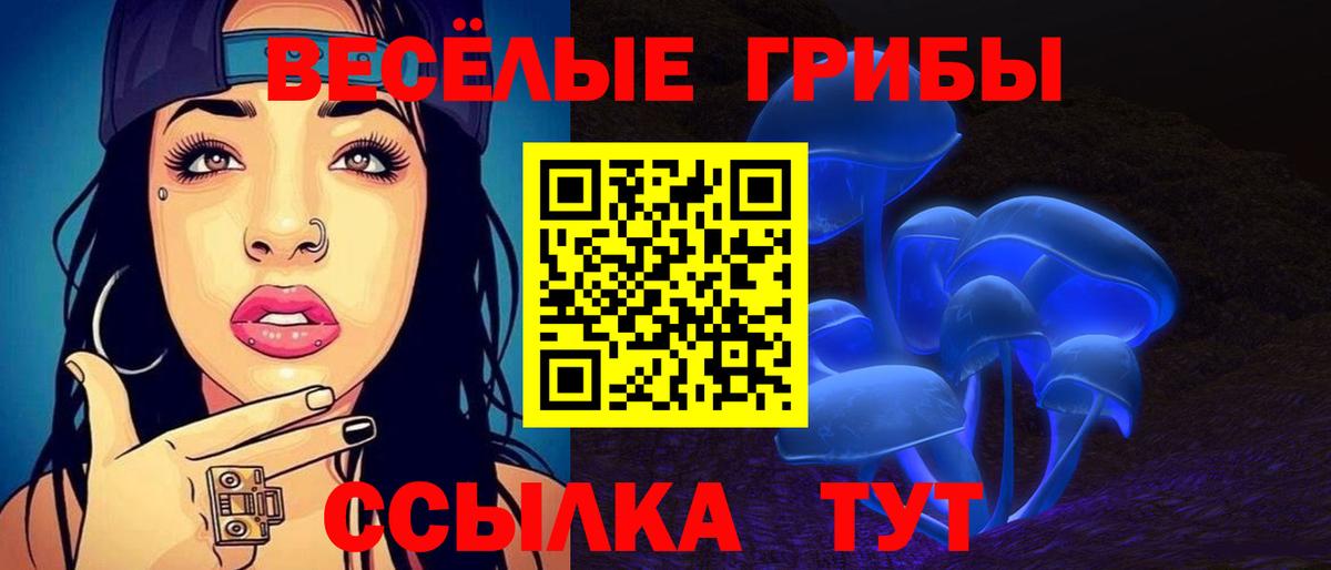 Псилоцибиновые грибы MAGIC MUSHROOMS  Вход с VPN  Псилоцибиновые грибы Cubensis  наркошоп  Владимир 